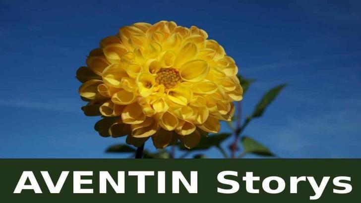 Aventin.de · AVENTIN Storys · Von einem der auszog die Weisheit zu finden · Fabeln Novellen Sagen