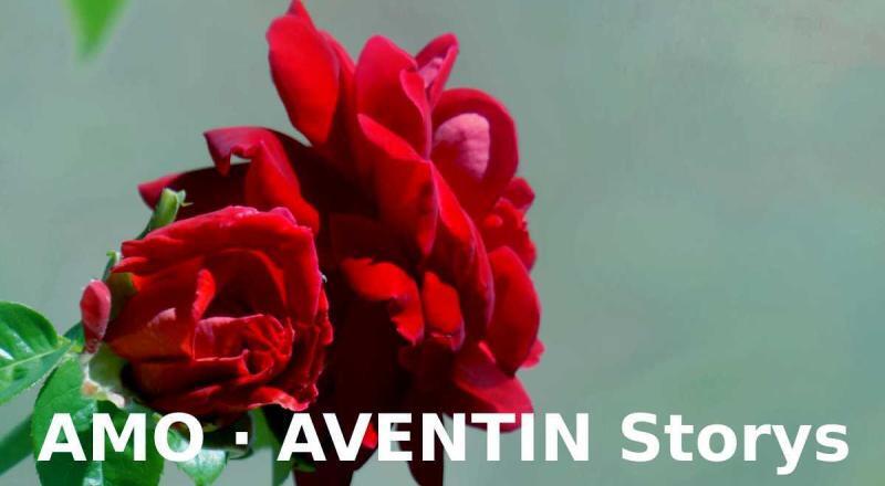 AMO · Ich liebe · AVENTIN Storys · Rote Rosenblüten